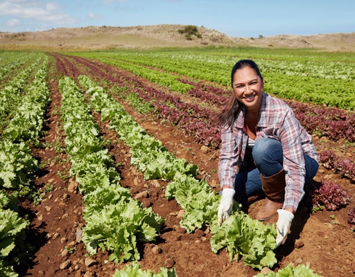 KTA Keauhou Produce